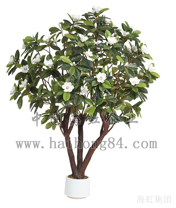 云顶国际vip8866官网