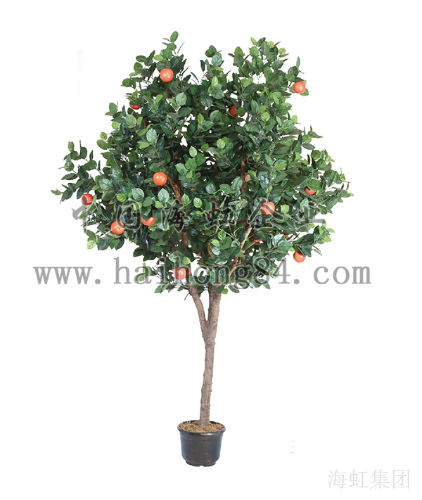 云顶国际vip8866官网