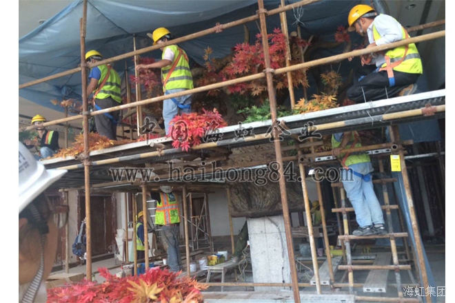 云顶国际vip8866官网