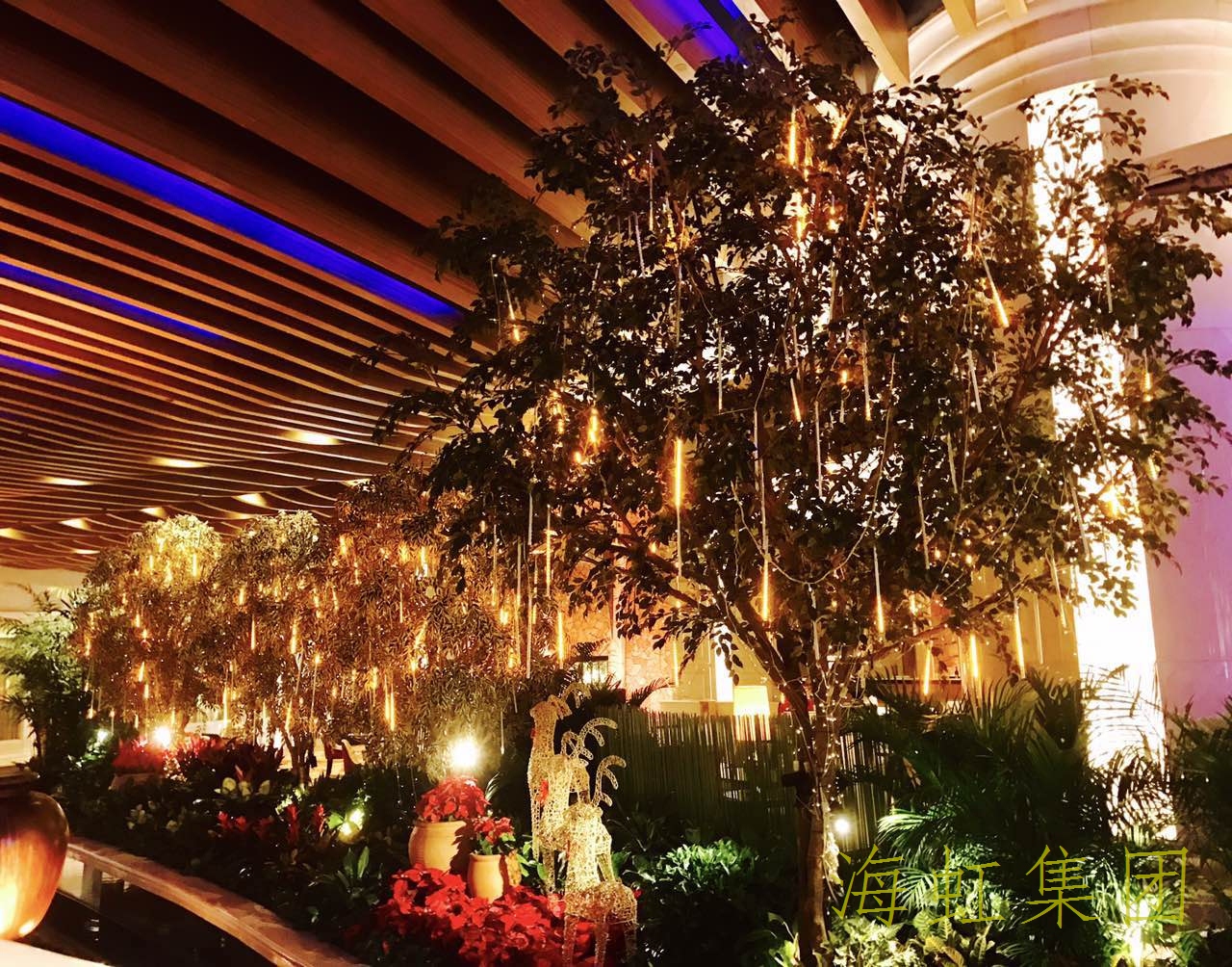 云顶国际vip8866官网