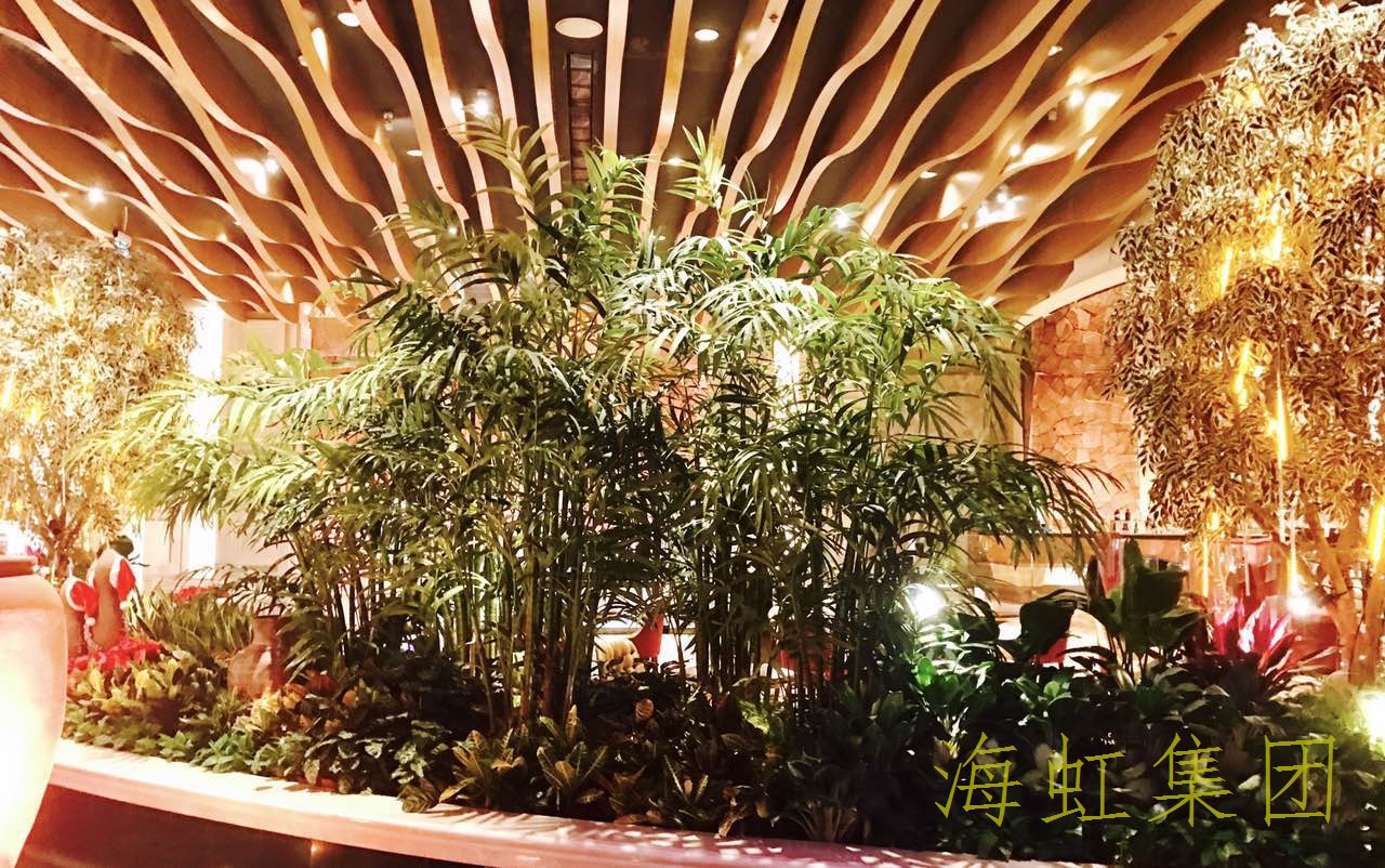 云顶国际vip8866官网