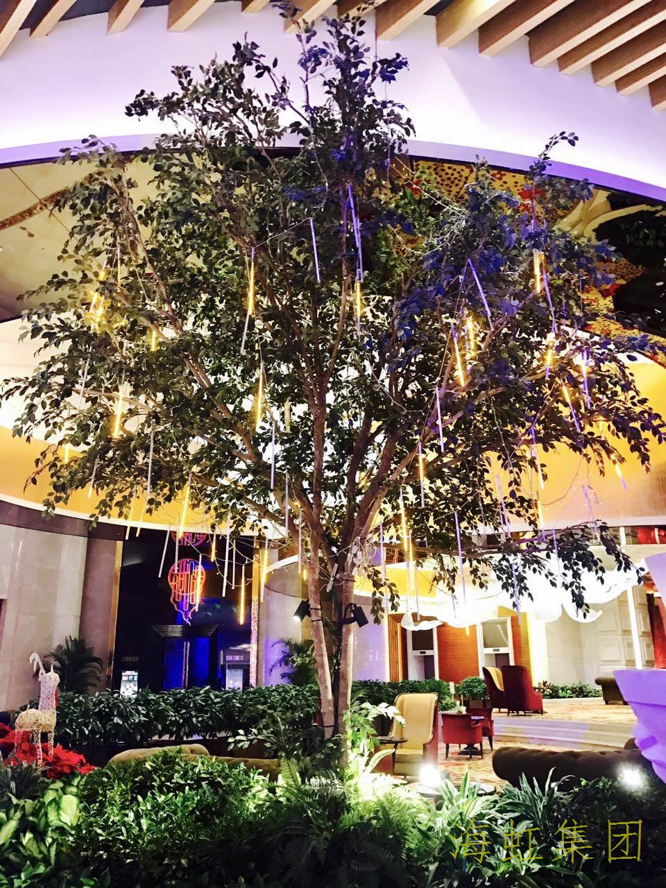 云顶国际vip8866官网