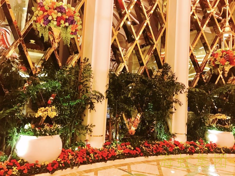 云顶国际vip8866官网