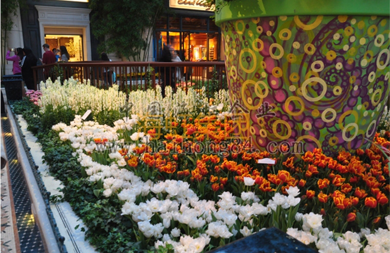 云顶国际vip8866官网