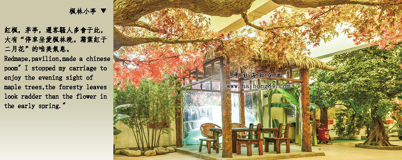 云顶国际vip8866官网