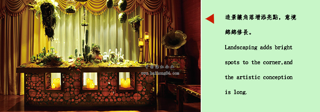 云顶国际vip8866官网