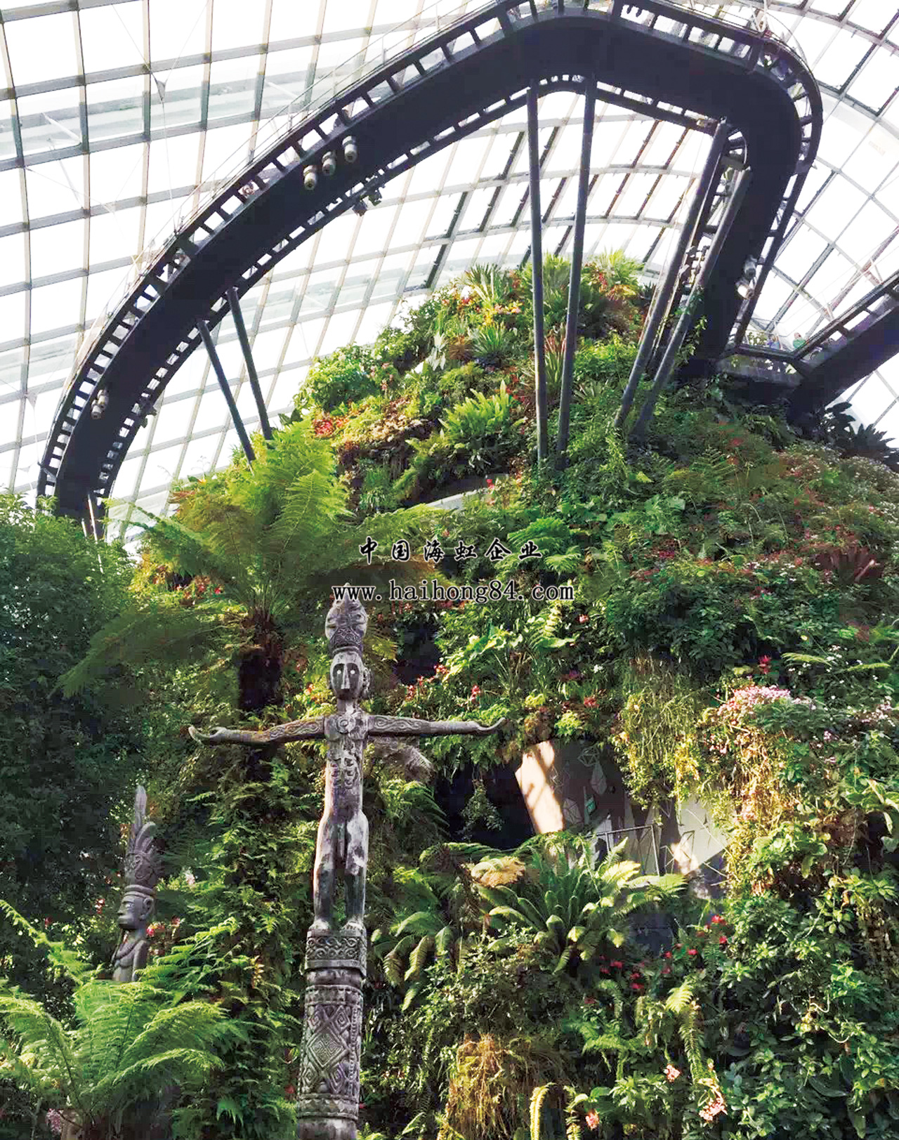 云顶国际vip8866官网