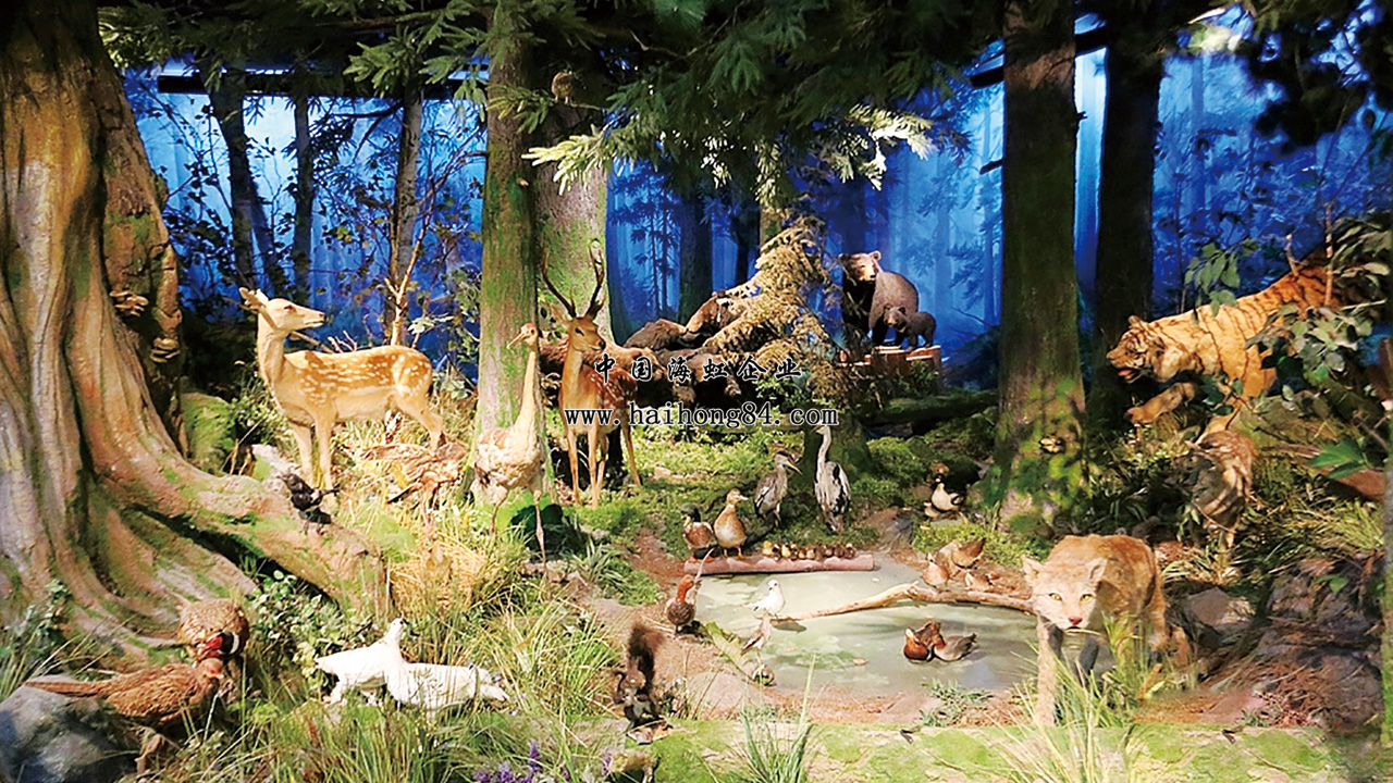 云顶国际vip8866官网