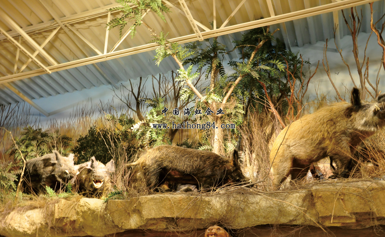 云顶国际vip8866官网