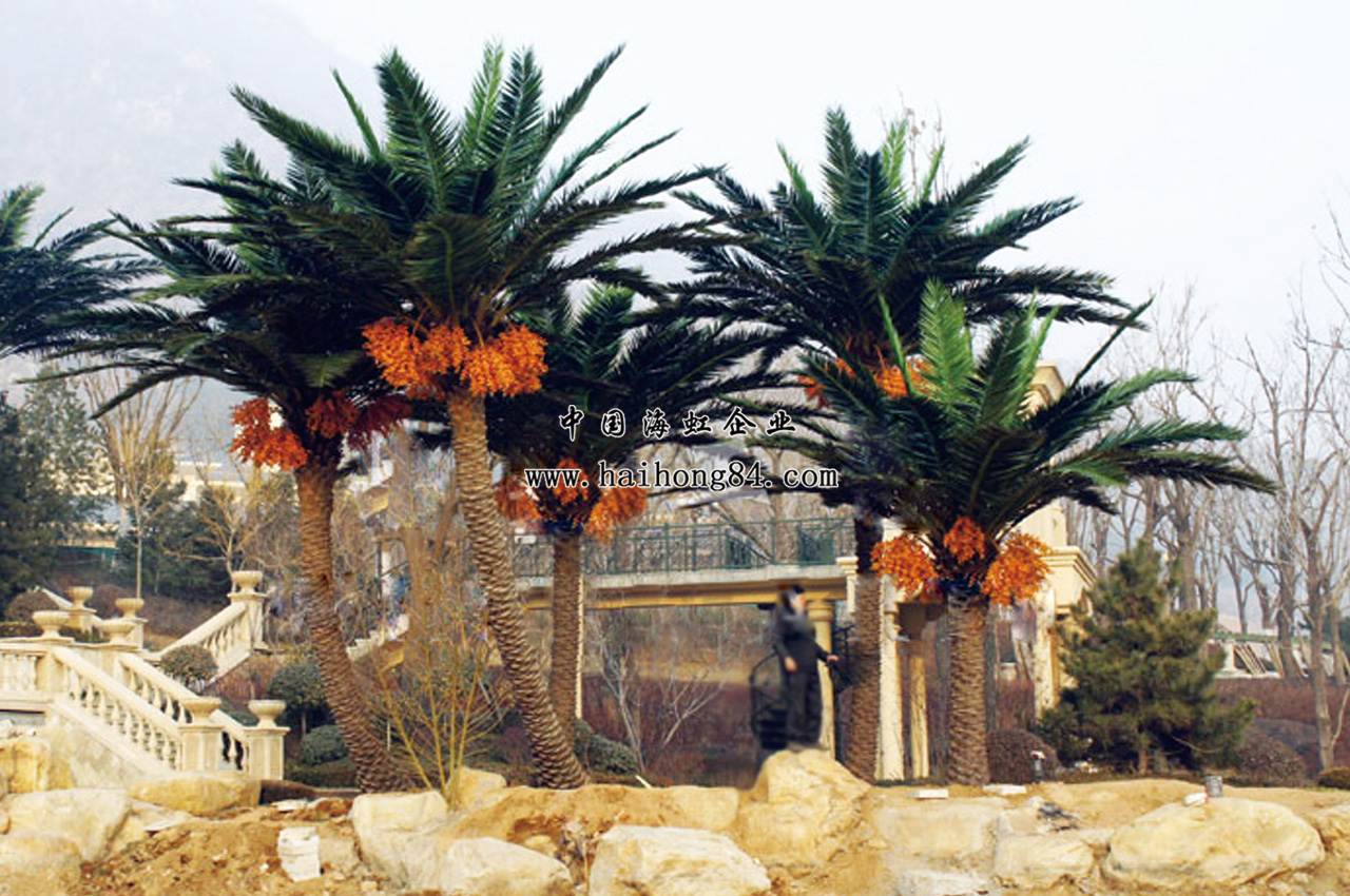 云顶国际vip8866官网