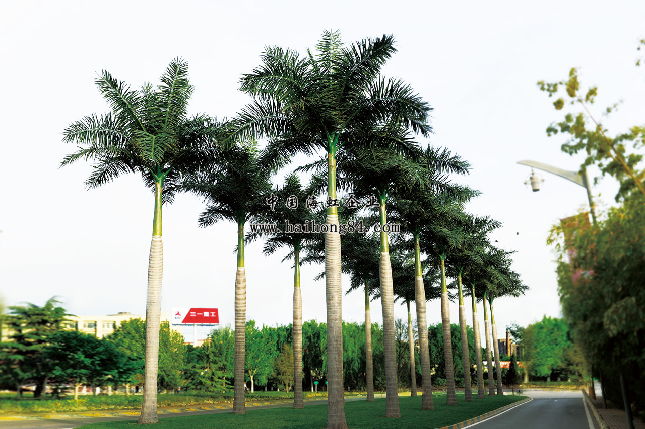 云顶国际vip8866官网