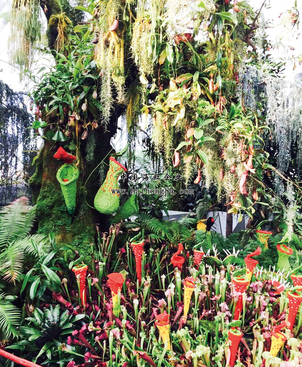 云顶国际vip8866官网