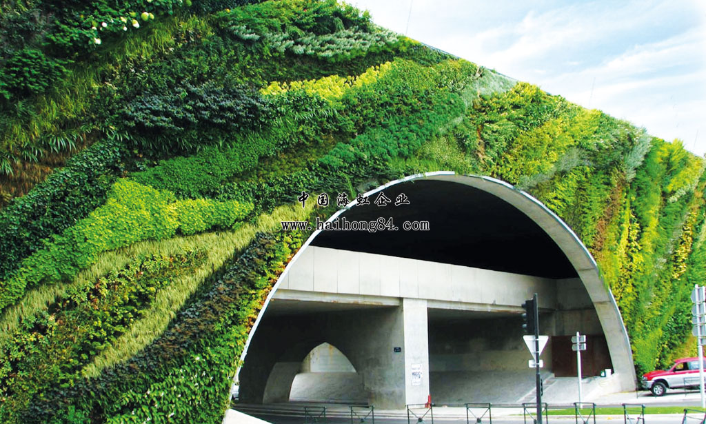 云顶国际vip8866官网