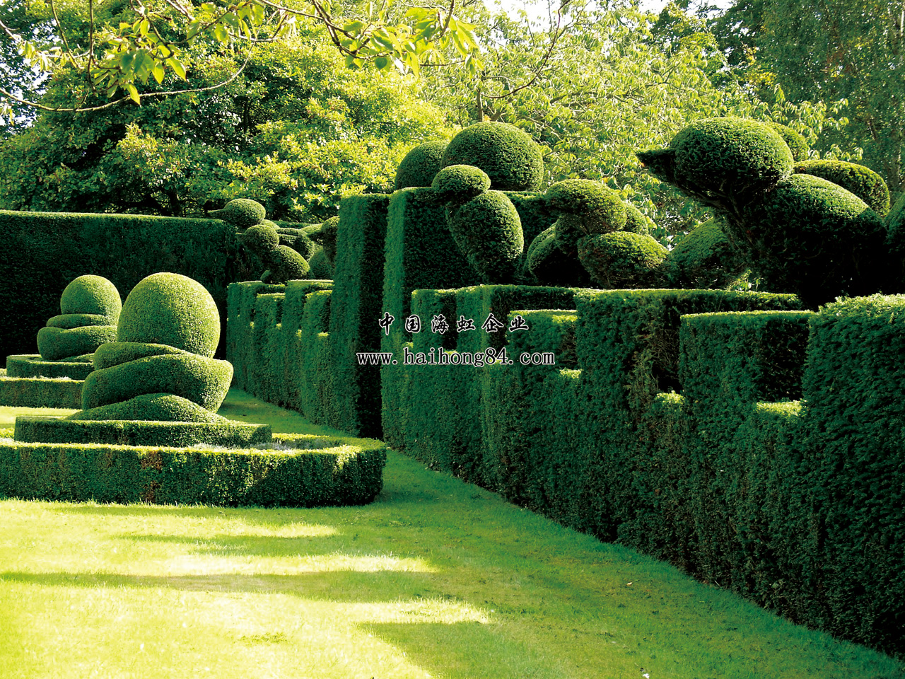 云顶国际vip8866官网