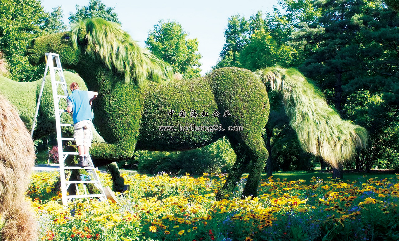 云顶国际vip8866官网