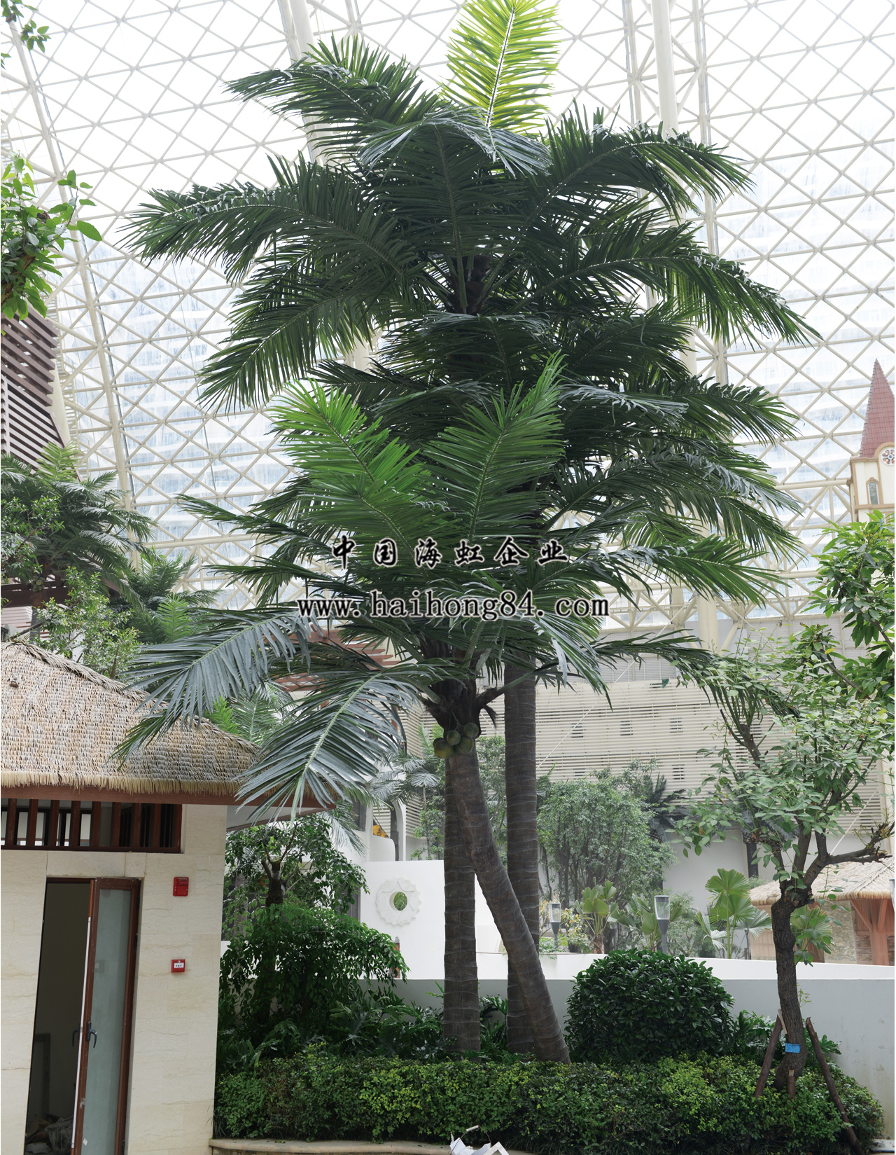 云顶国际vip8866官网