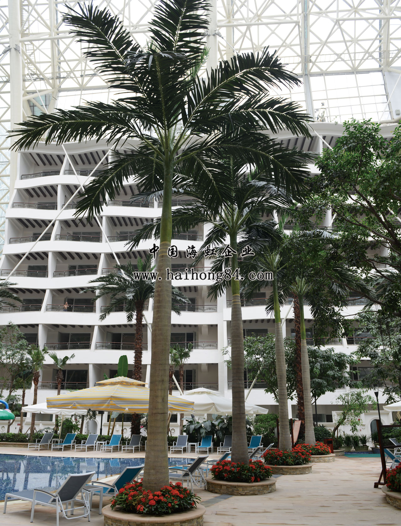 云顶国际vip8866官网