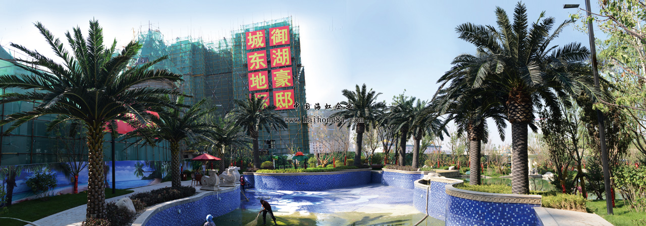 云顶国际vip8866官网