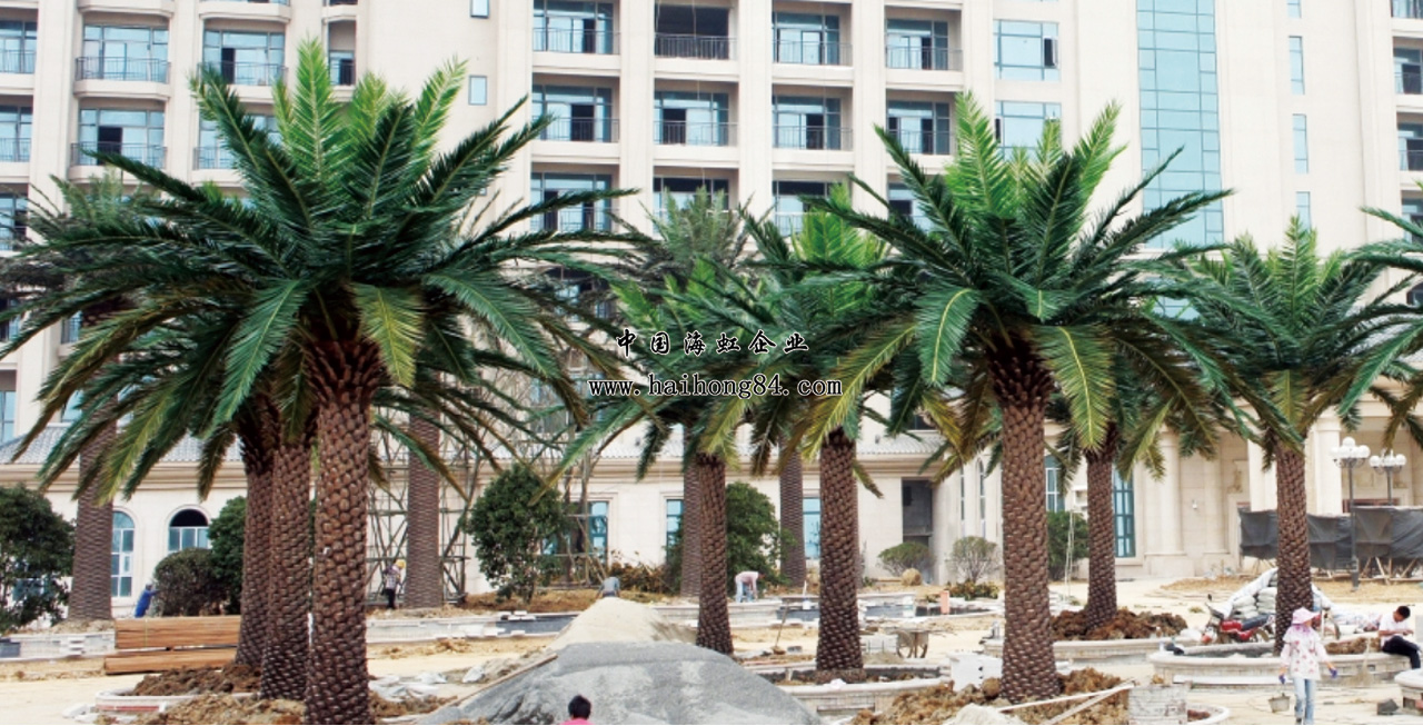 云顶国际vip8866官网