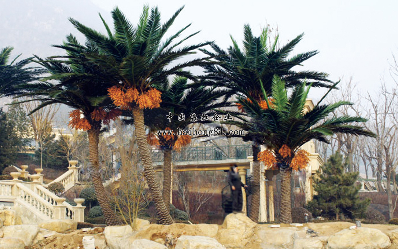 云顶国际vip8866官网