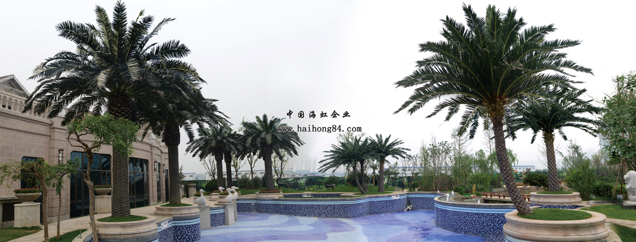 云顶国际vip8866官网