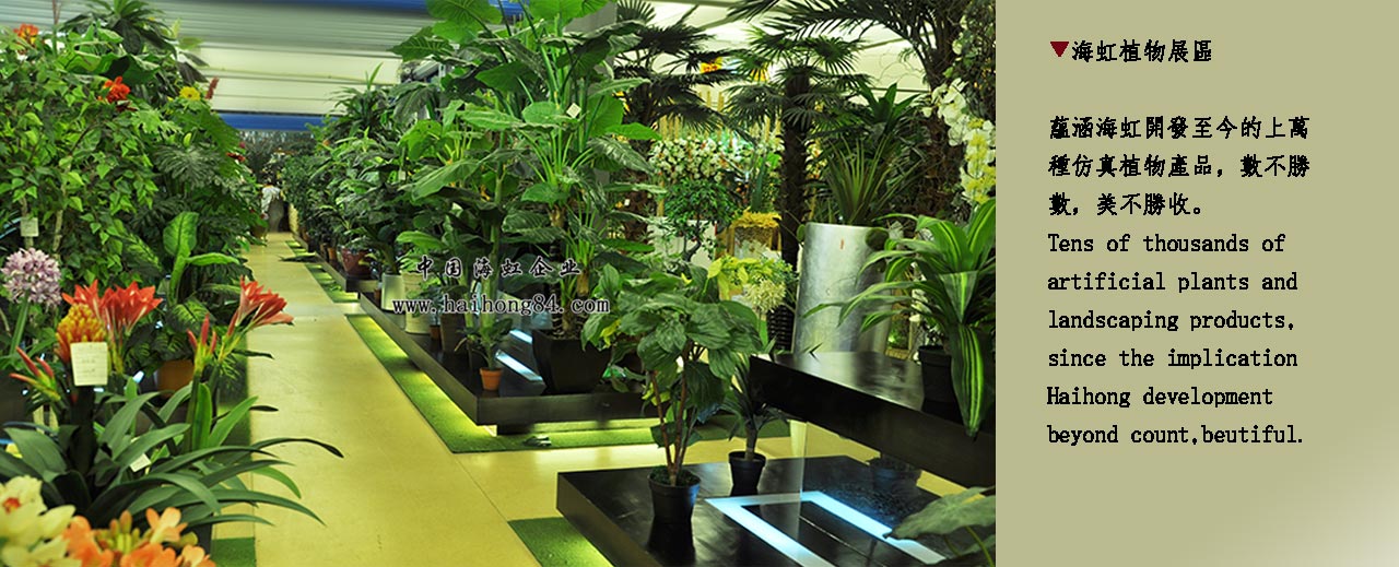 云顶国际vip8866官网