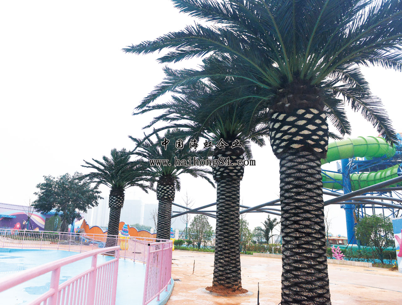 云顶国际vip8866官网