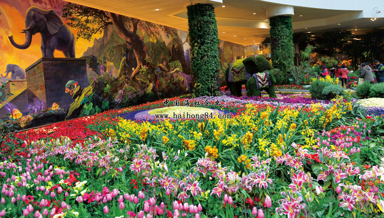 云顶国际vip8866官网