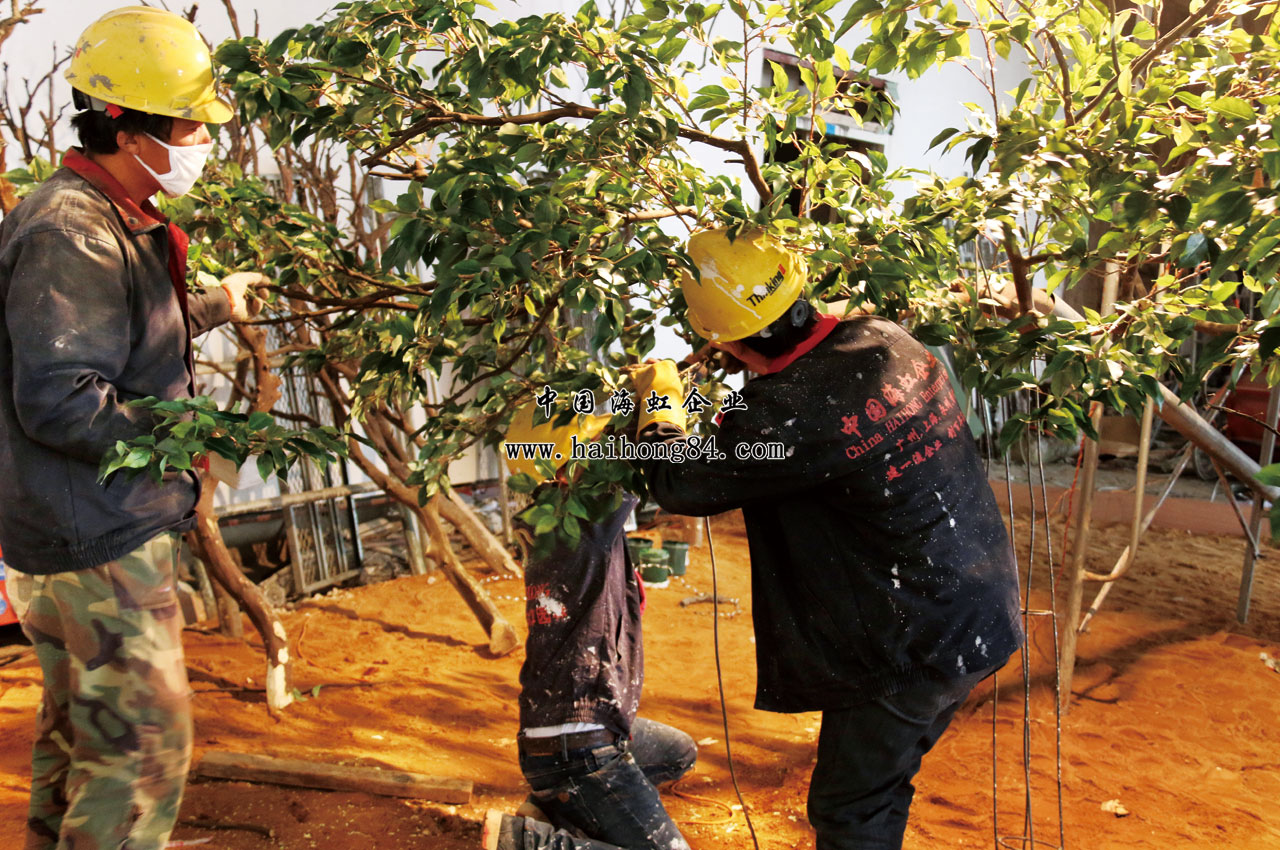 云顶国际vip8866官网