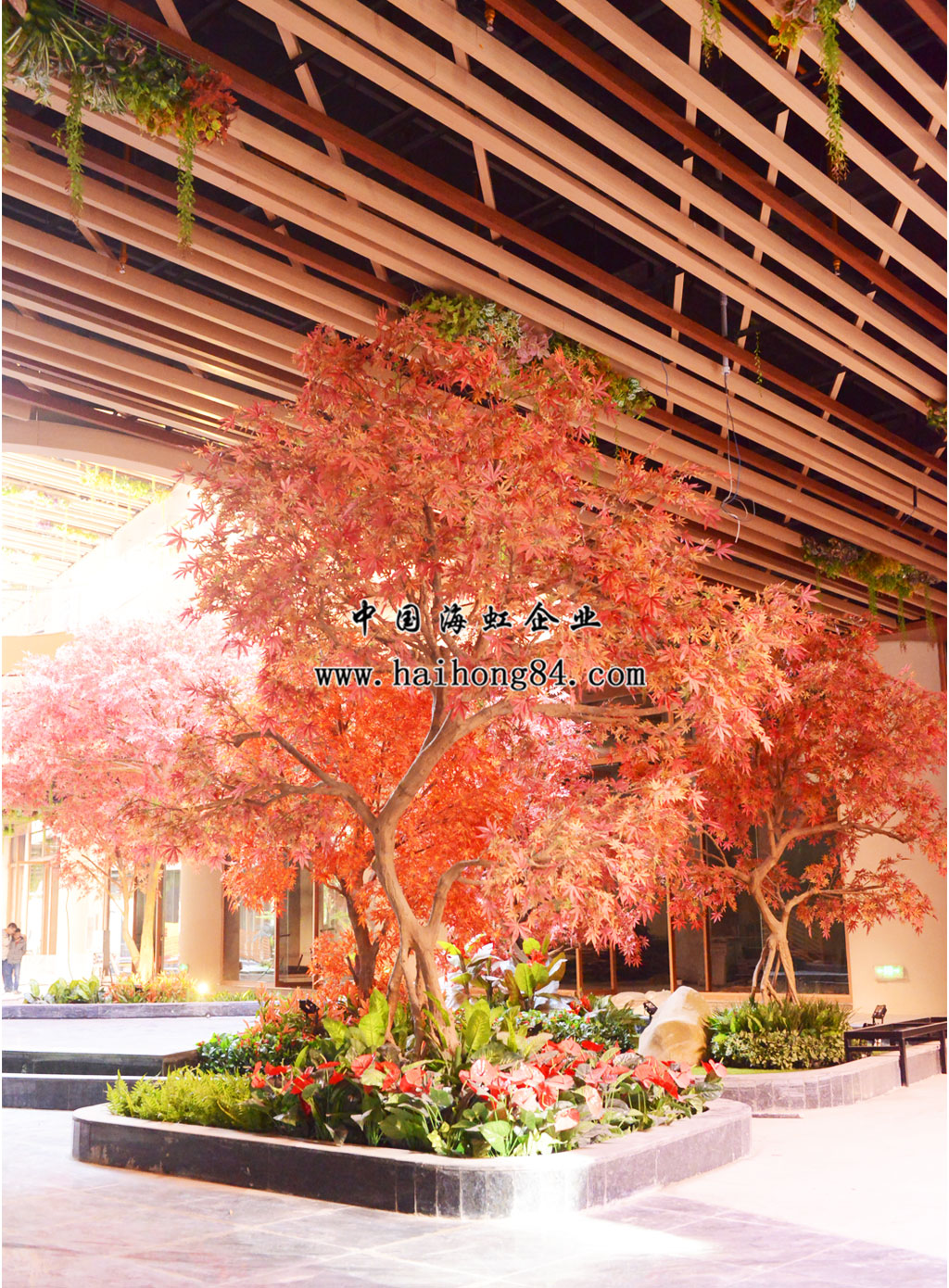 云顶国际vip8866官网