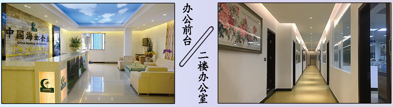 云顶国际vip8866官网