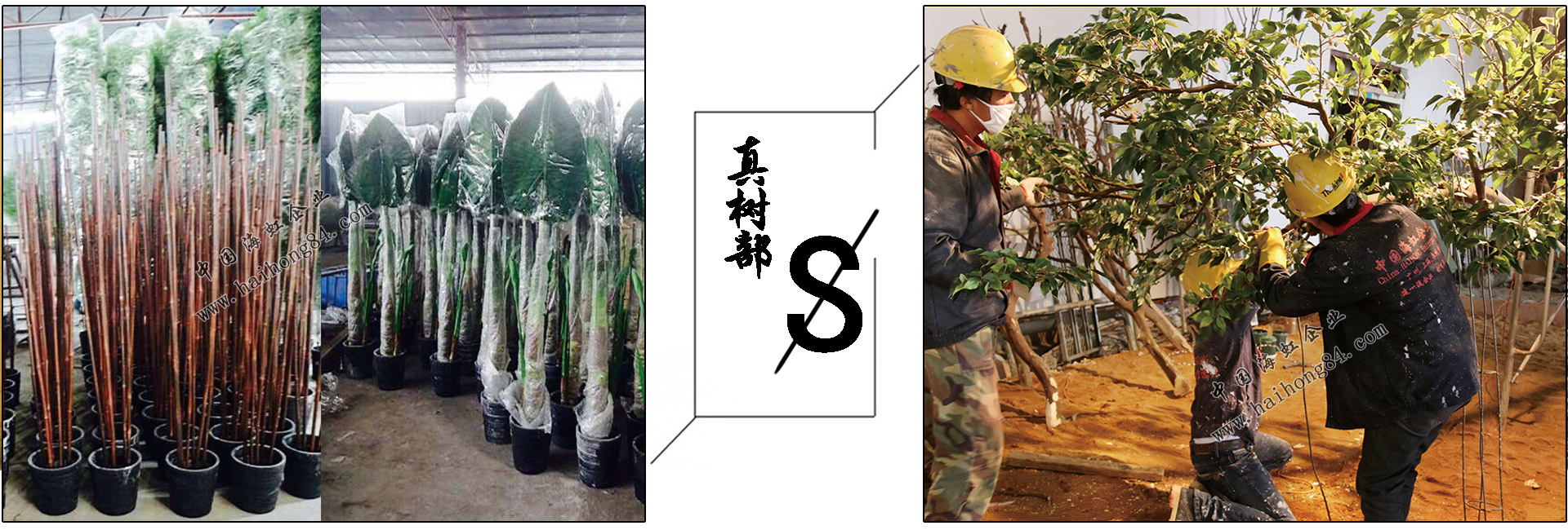 云顶国际vip8866官网