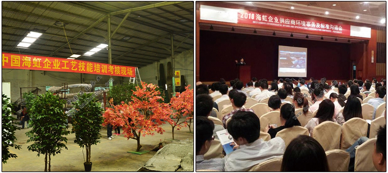 云顶国际vip8866官网