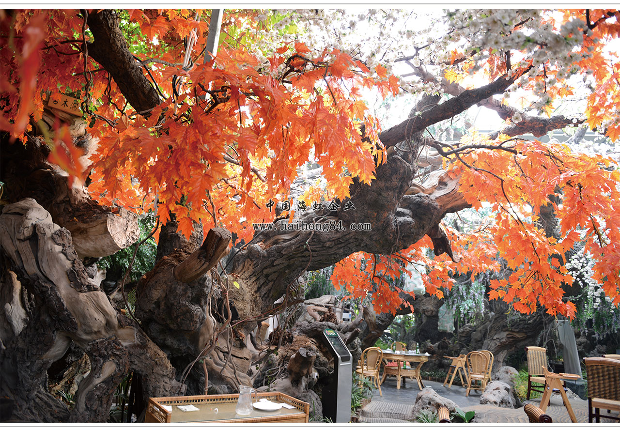 云顶国际vip8866官网