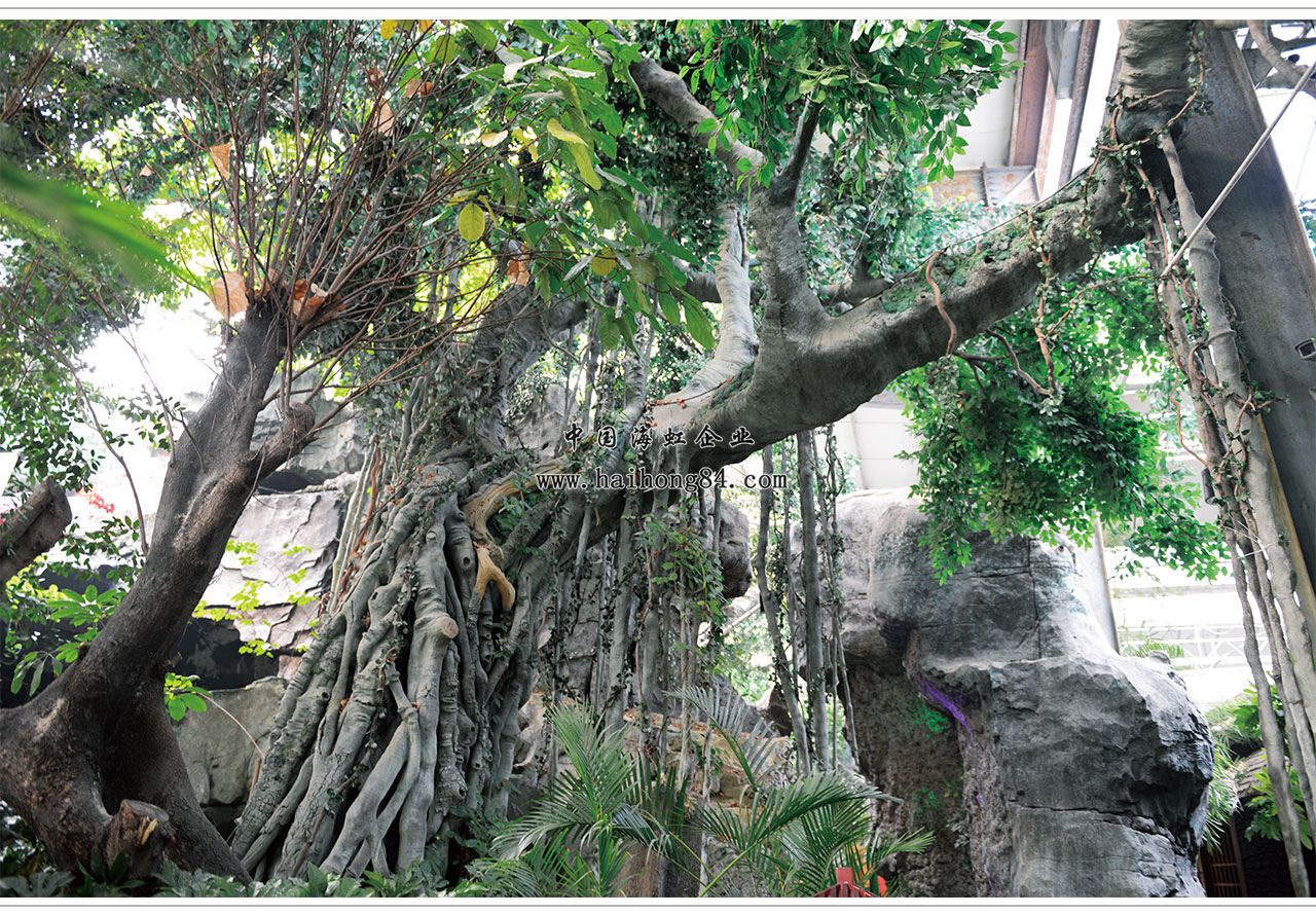 云顶国际vip8866官网