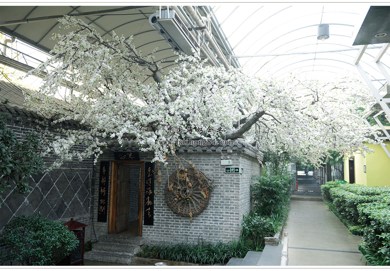 云顶国际vip8866官网