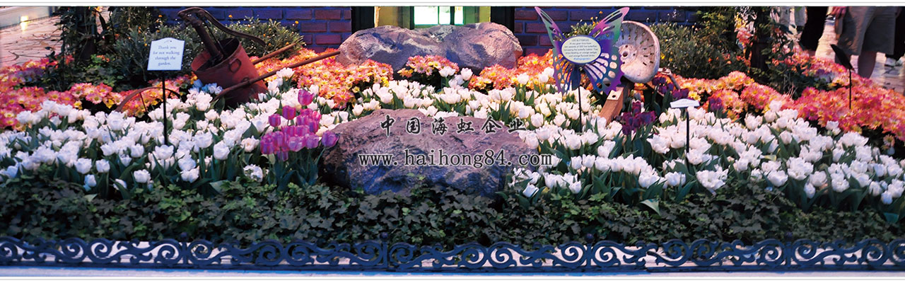 云顶国际vip8866官网