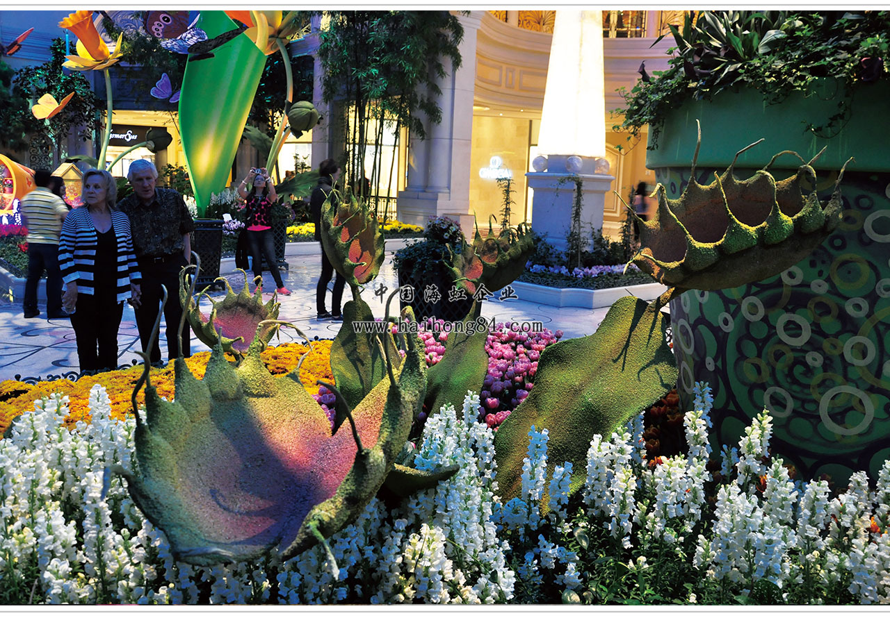 云顶国际vip8866官网