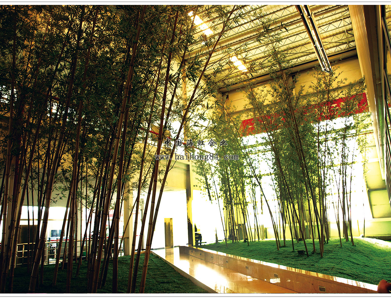 云顶国际vip8866官网