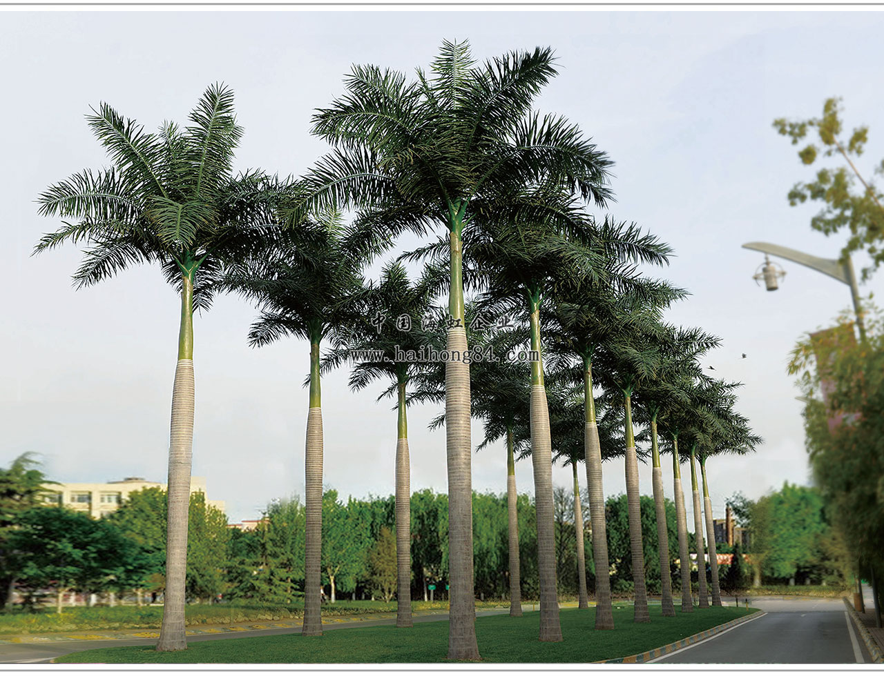 云顶国际vip8866官网