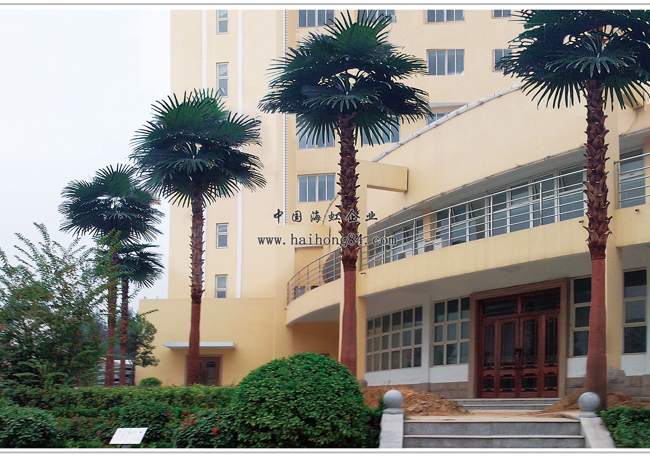 云顶国际vip8866官网