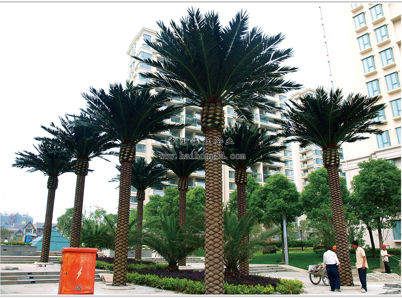 云顶国际vip8866官网