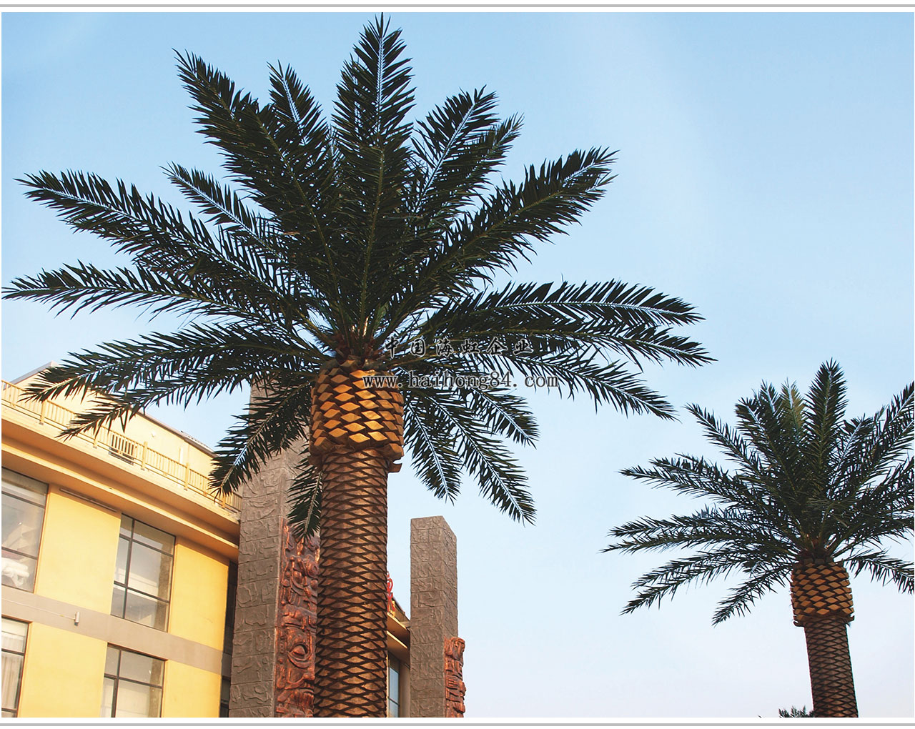 云顶国际vip8866官网