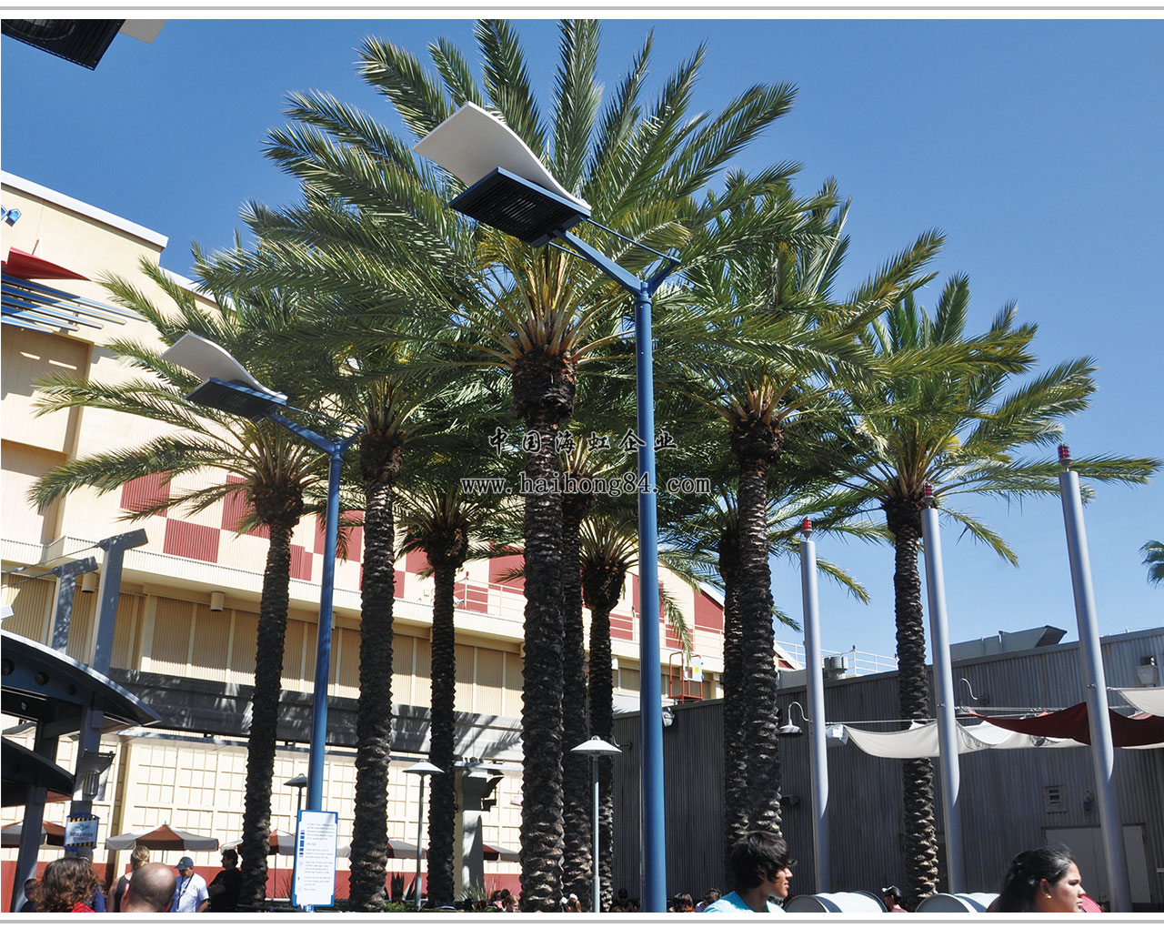 云顶国际vip8866官网