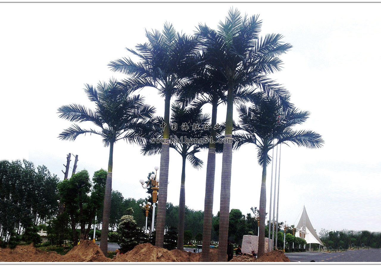 云顶国际vip8866官网