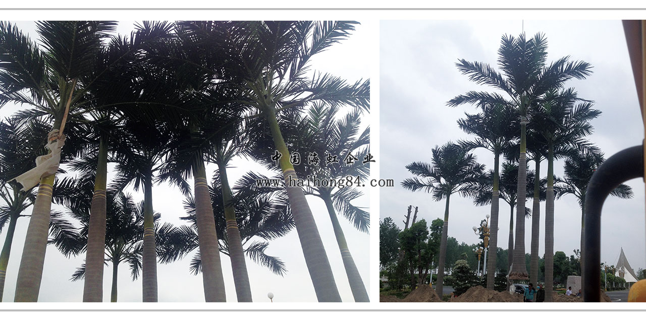 云顶国际vip8866官网