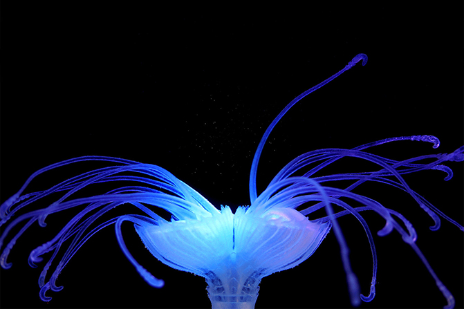 云顶国际vip8866官网