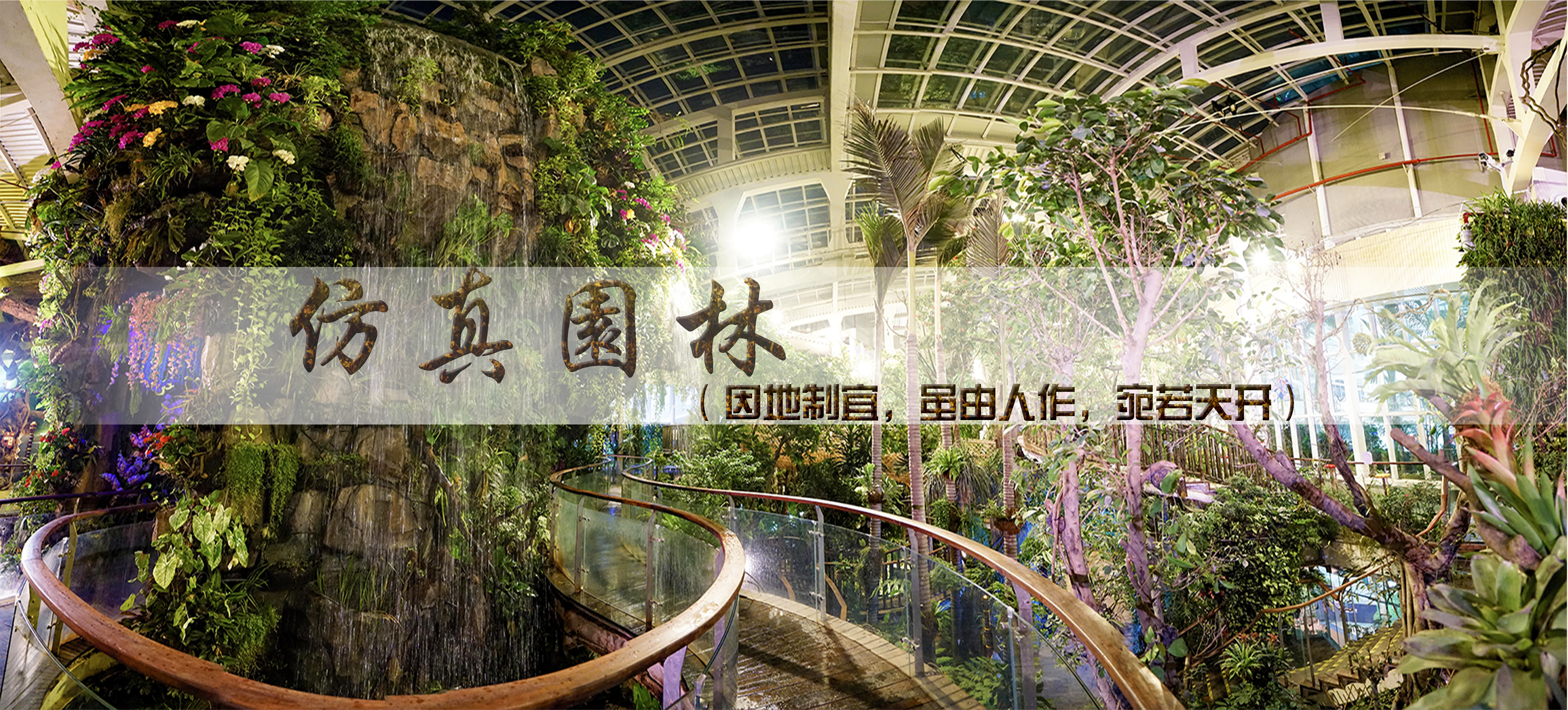 云顶国际vip8866官网