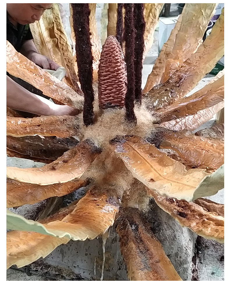 云顶国际vip8866官网