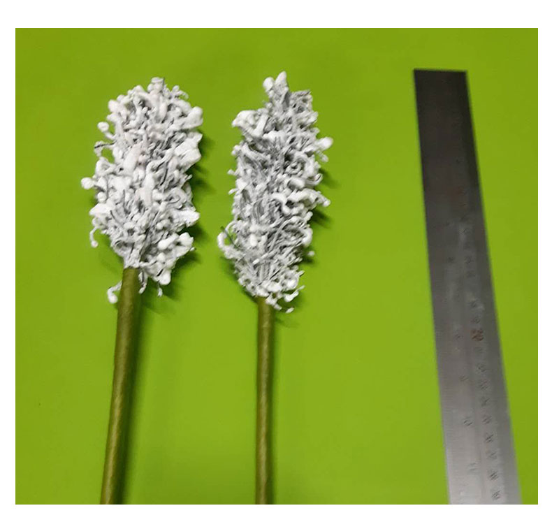 云顶国际vip8866官网